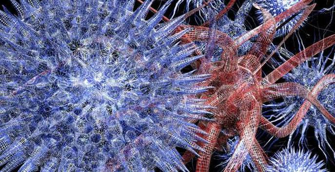 Il virus gigante ha allertato gli scienziati