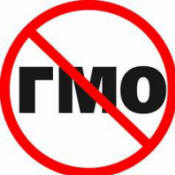 OGM: 3 miliardi di persone possono morire!