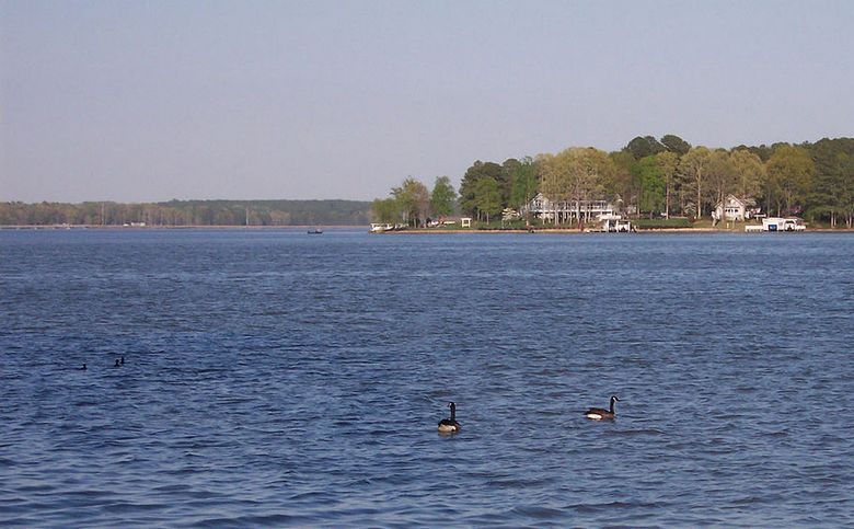 Blue Lake Monster avvistato nella Carolina del Nord