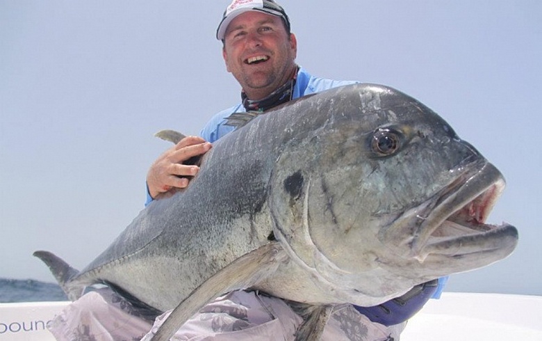 Pesce predatore Travelli - un uccello e persino un cacciatore di delfini