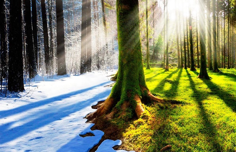 La stagione fredda in Russia sta diminuendo, hanno detto i meteorologi