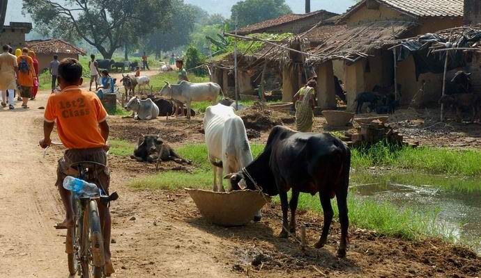 La misteriosa epidemia suicida ha colpito il villaggio indiano