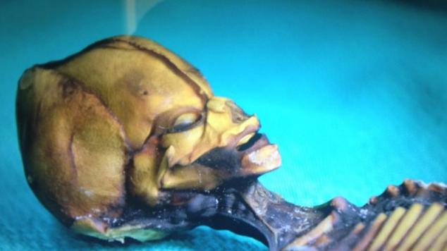 Alien from the Atacama Desert