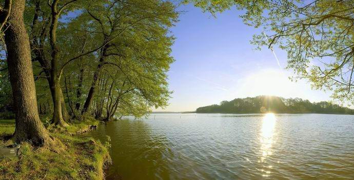 L'eremita spagnolo vive nella foresta da vent'anni