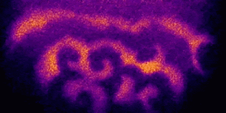 Esplorazione: la vita inizia con le onde 