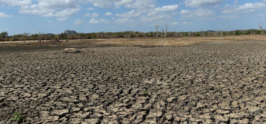 La ricerca mostra che parti del Nord America potrebbero diventare deserte 