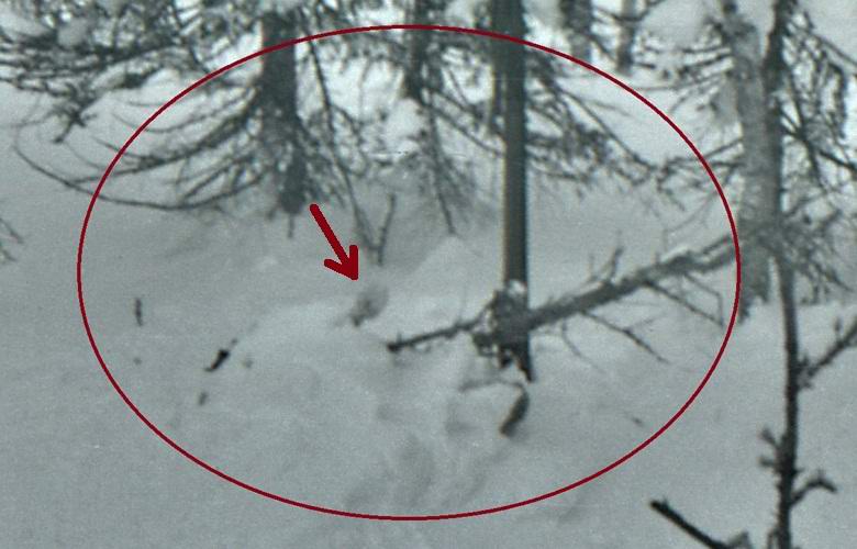 Il ricercatore ha trovato il decimo corpo in immagini dal luogo di morte del gruppo turistico Dyatlov