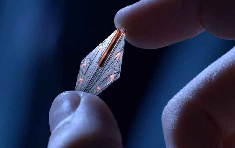 Il famoso ufologo afferma: la chipizzazione delle persone da parte degli alieni è in pieno svolgimento