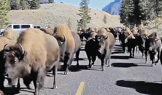 Yellowstone Super Volcano prepara la Terra per Marte?