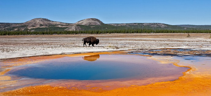 Yellowstone non sarà in grado di esplodere senza assistenza
