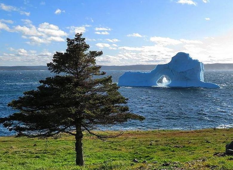 L'iceberg più insolito salpò per le coste del Canada