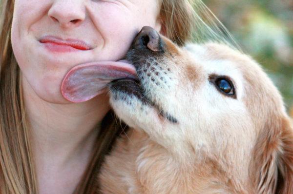 Il cane è lusinghiero 