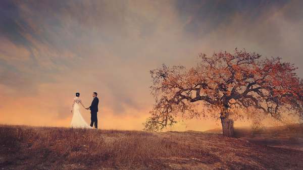 libro dei sogni per vedere te stesso in un abito da sposa per una donna sposata 