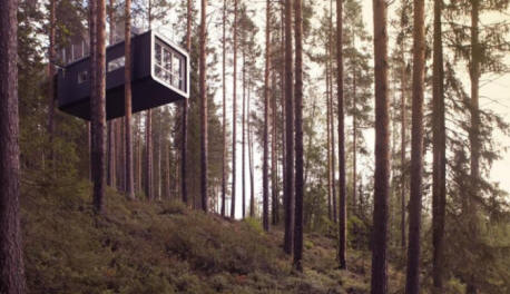 Come gli alberi si prendono cura di noi