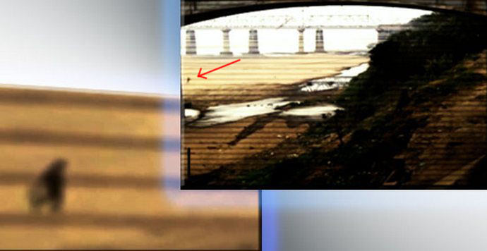 La telecamera di sorveglianza ha catturato un altro fantasma divertente