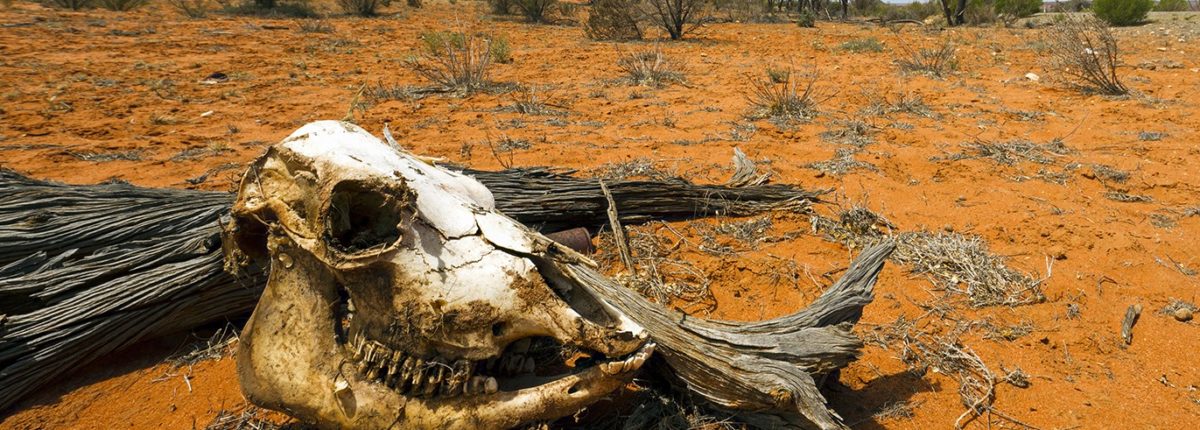 Scienziati canadesi: l'umanità morirà entro 700 anni 