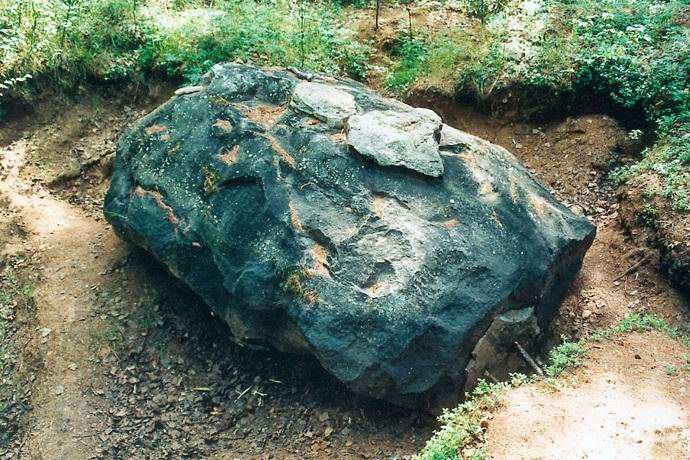 Meteorite canadese con geroglifici extraterrestri