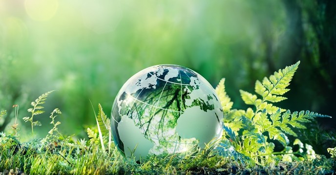 Cambiamenti catastrofici nella biosfera della Terra scoperti dagli scienziati