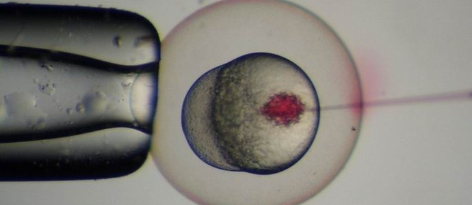 I cinesi hanno effettuato la prima correzione genetica in assoluto di un embrione umano
