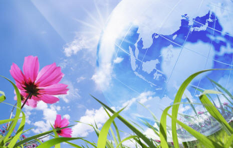 Le piante d'appartamento possono pensare, parlare e leggere i nostri pensieri.