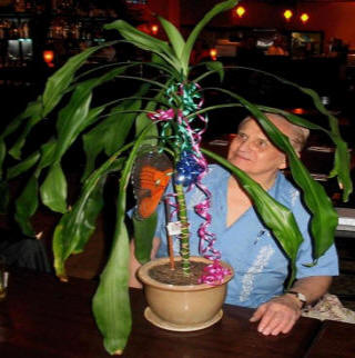 Cleve Baxter sta sperimentando una pianta di dracaena. Foto: Backster intelligente .