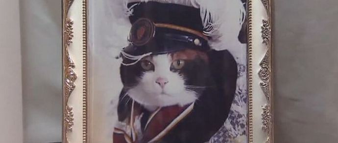 Il gatto è morto. Lunga vita al gatto!