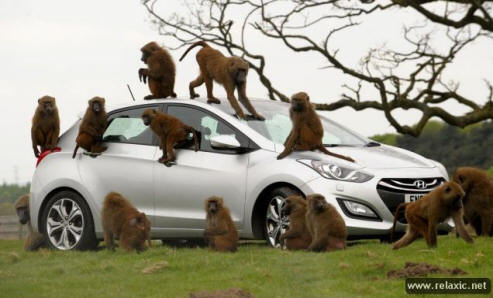 Crash test per Hyundai