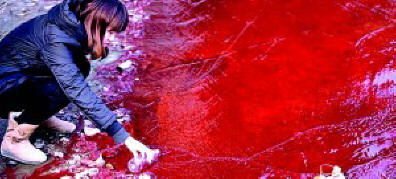 La pioggia sanguinante è caduta sulla Terra