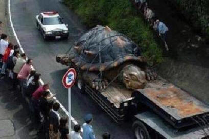 La tartaruga più grande del mondo trovata nel Rio delle Amazzoni