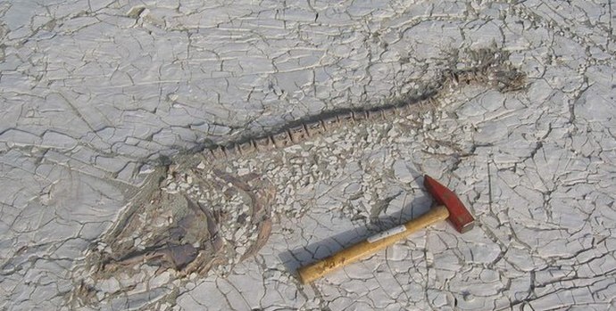 Il più grande lago d'acqua dolce del mondo