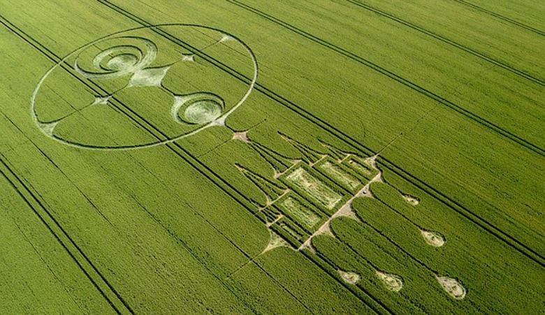 Chi, tuttavia, crea cerchi nel grano?