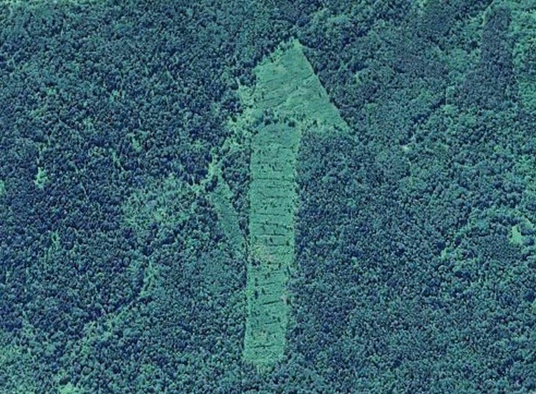 Le foreste della regione di Smolensk hanno sorpreso i ricercatori con simboli misteriosi