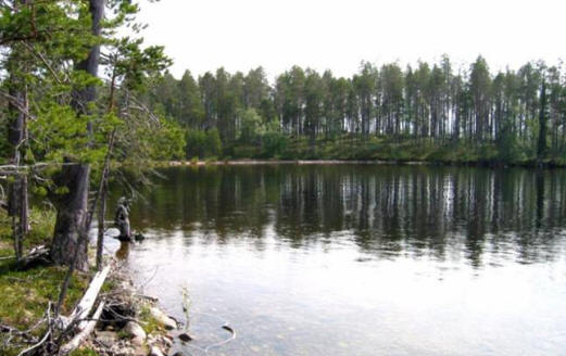 Goblin del Vedlozero