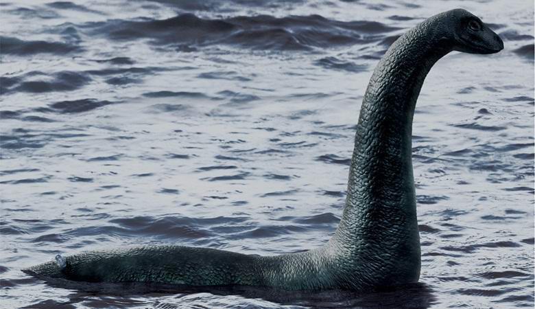 Il mostro di Loch Ness ha fotografato un record per la nona volta quest'anno