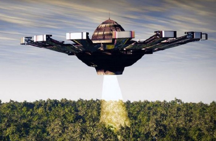 Un raggio di luce traccia gli animali selvatici