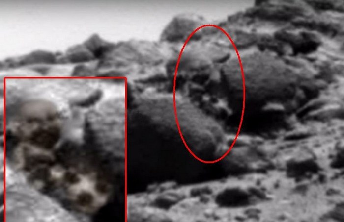 Il marziano si è rivelato essere barbuto e anche con un cane