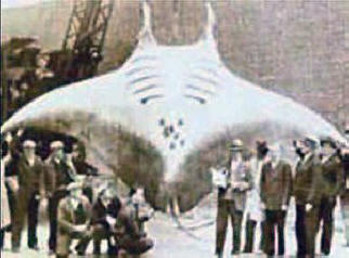 Vendetta ai ricercatori dell'ignoto