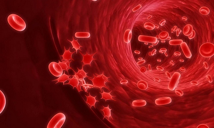 Microonde - cancro del sangue