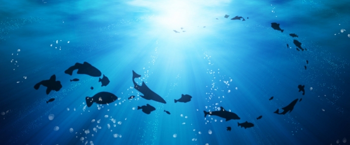 Gli oceani stanno cambiando, cambiando la vita sul pianeta nel suo insieme