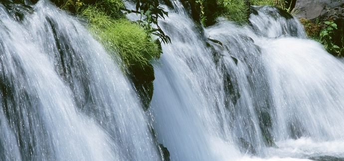 Quanto sappiamo degli alieni