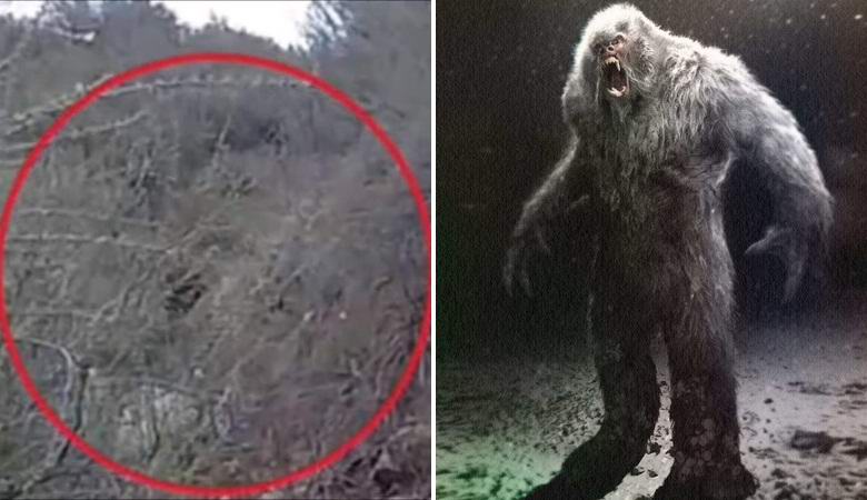 Il motociclista ha incontrato un bigfoot