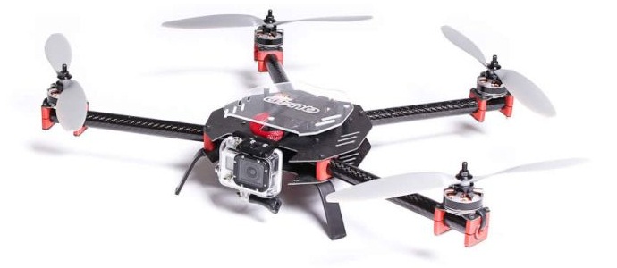 Il cervello dell'ape si ricrea come un processore multicotteri