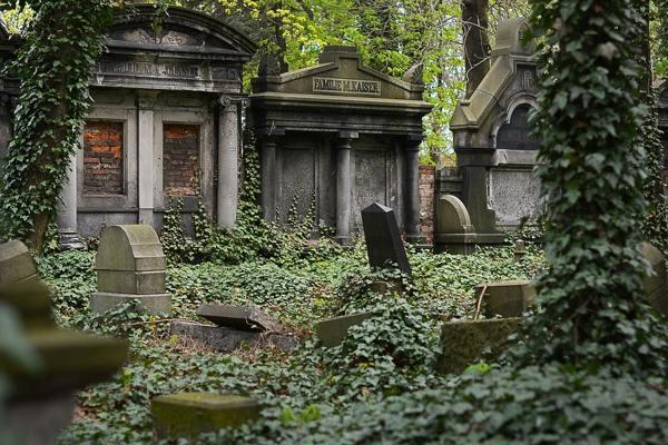 è possibile prendere qualsiasi cosa dal cimitero 