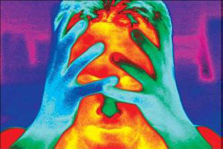 È possibile vivere senza cervello?