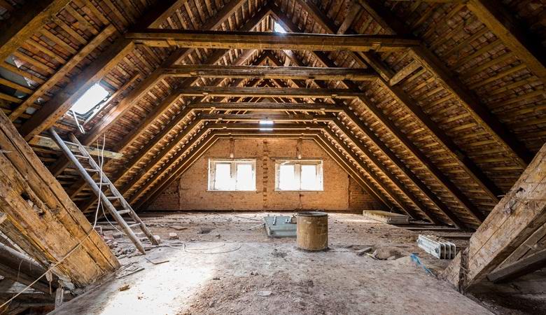 Nella soffitta della donna americana viveva segretamente un ospite che scambiava per un fantasma