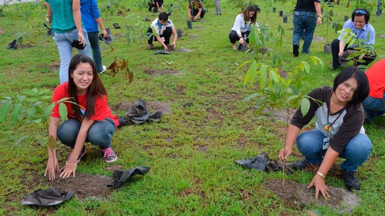 Le Filippine hanno approvato una legge: gli alunni e gli studenti devono piantare 10 alberi prima della laurea