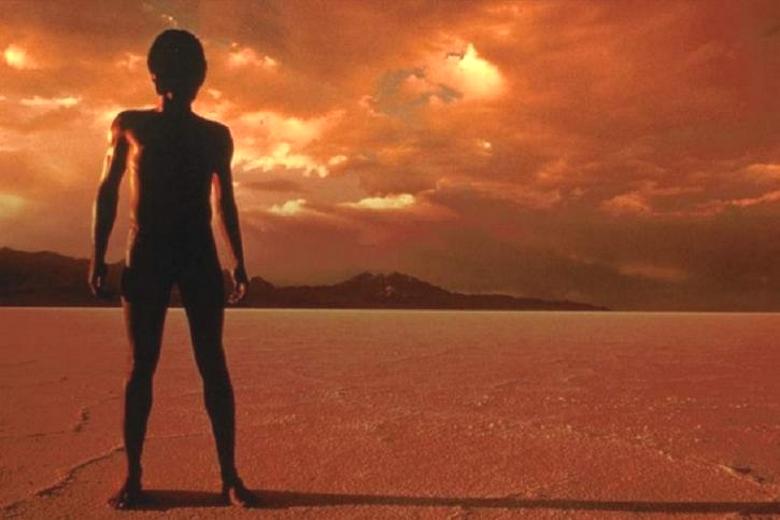 Qualcosa come un'antica statua è stata trovata in una fotografia inviata da Marte