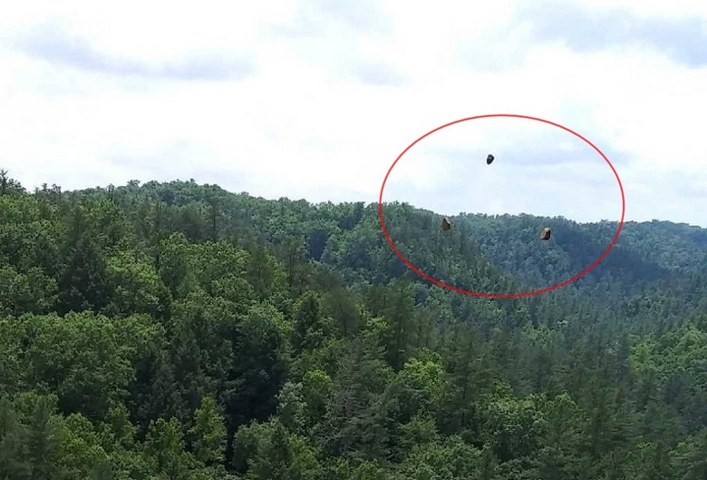 Il difetto riscontrato nella fotografia è stato chiamato