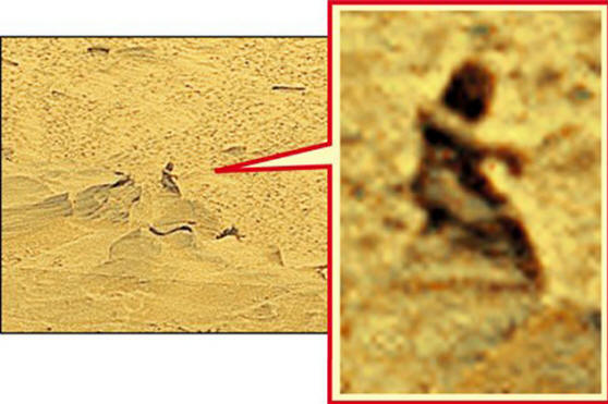 Il famoso marziano dal cratere di Gusev