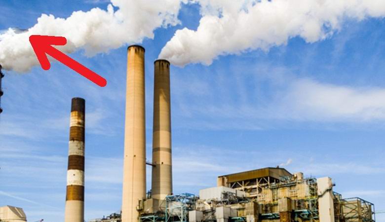 Sul sito dello stabilimento di San Pietroburgo ho trovato una foto con